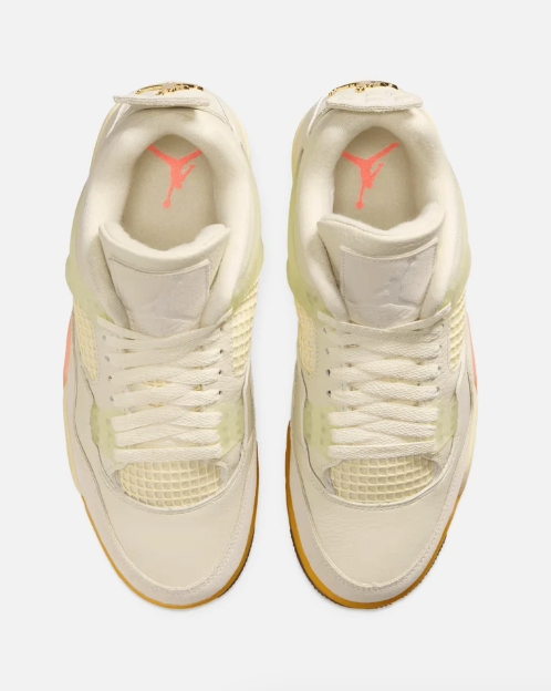 Women's Air Jordan 4 'Birds of Paradise'